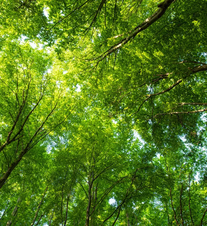 Sustainability